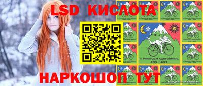 стаф Малгобек