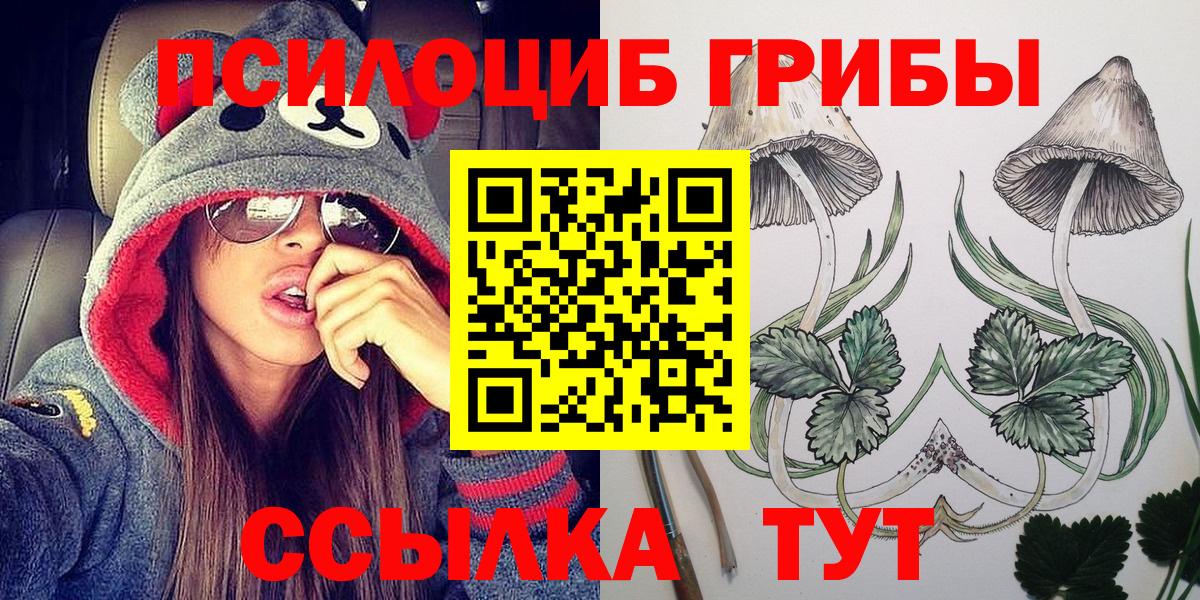Псилоцибиновые грибы мухоморы Соль-Илецк