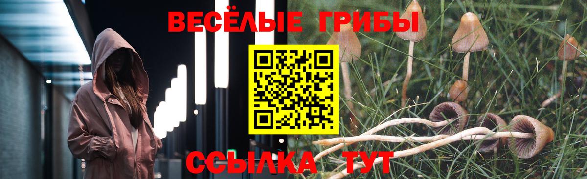 Соль-Илецк  Галлюциногенные грибы Psilocybe  Вход с VPN 